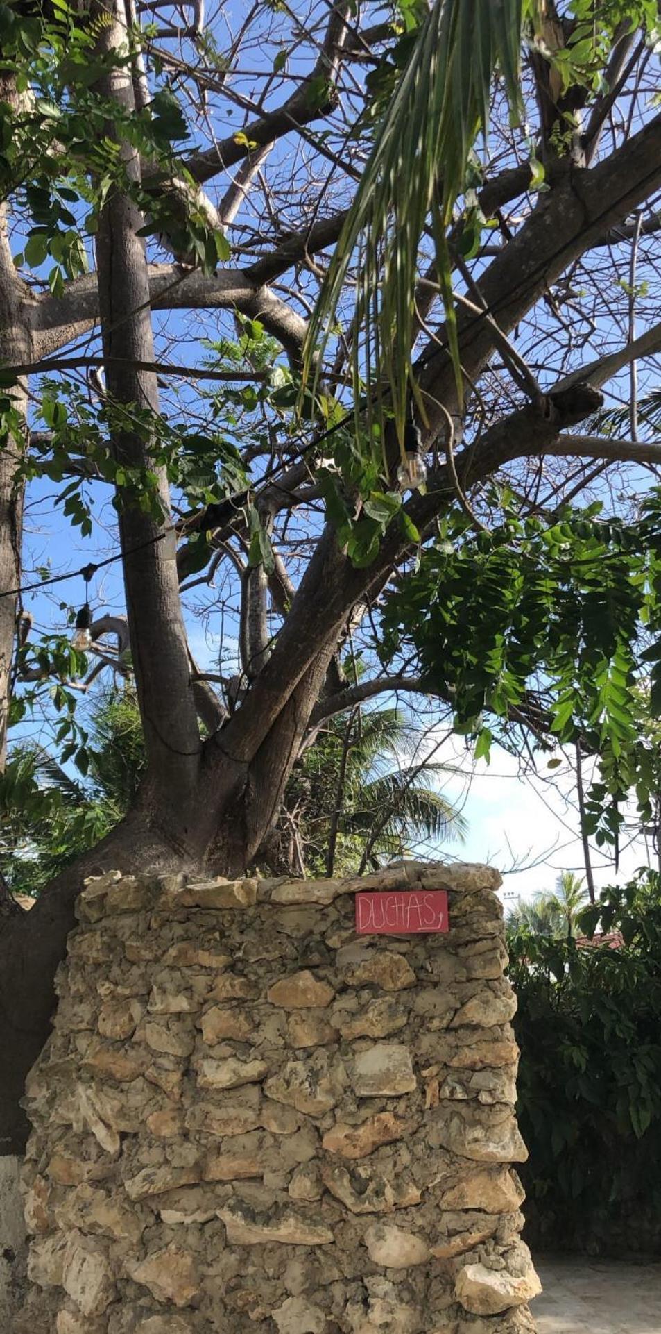 Casona La Carolina San Andrés Exterior foto